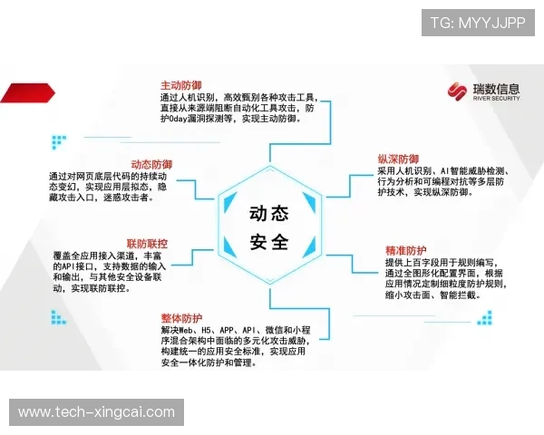 德尚试验法国双后腰体系琼阿梅尼职责全面拓展分析